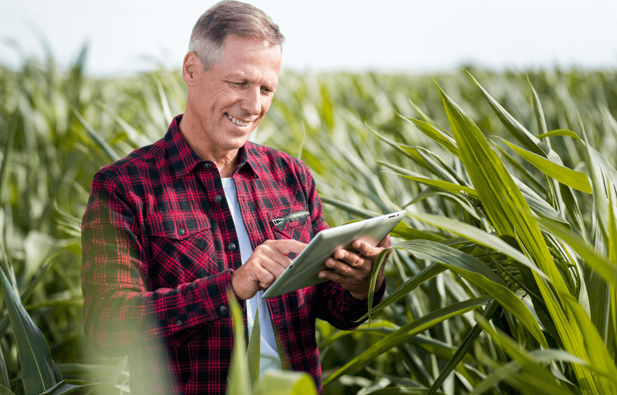 NF-e para Produtor Rural: como emitir pelo CPF e quais são as vantagens